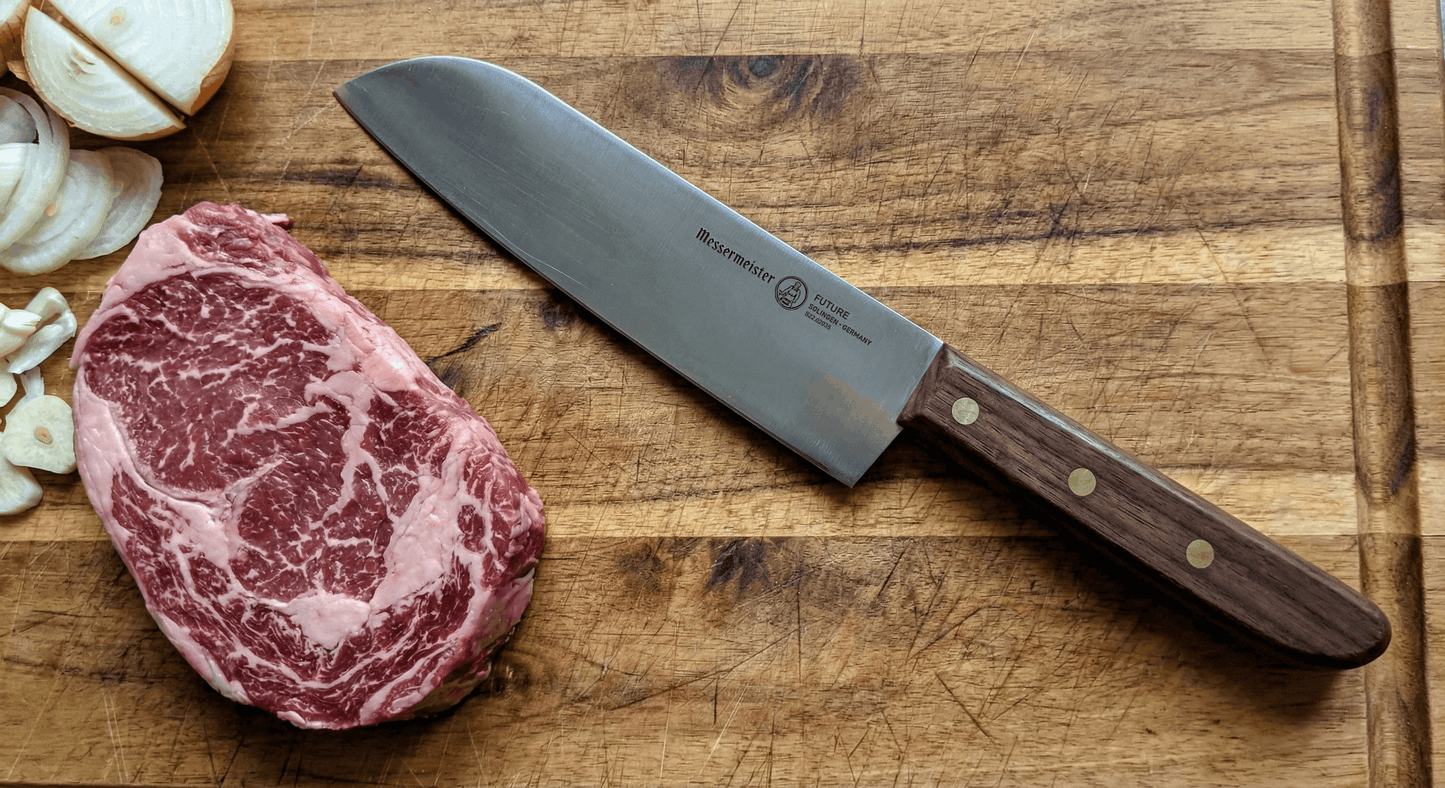 Future 16,5cm Santoku Chef Knife